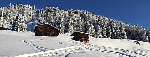 Almhütte im "Rieserdristn"